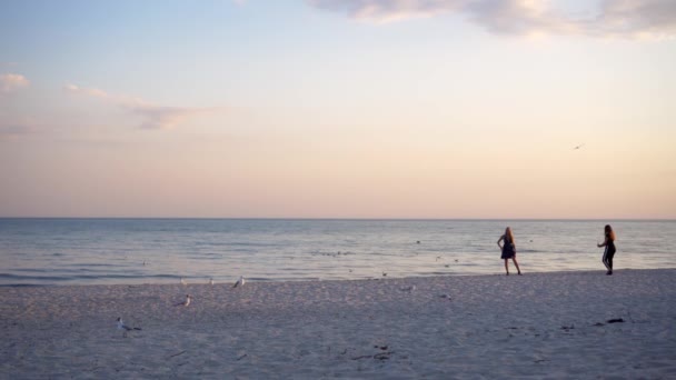 Deux Jeunes Filles Méconnaissables Prennent Des Photos Les Unes Des — Video