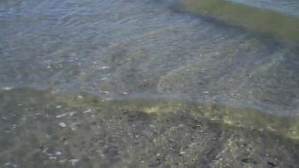Agua Limpia Playa Orilla Del Mar Océano Tiempo Claro Pequeñas — Vídeo de stock