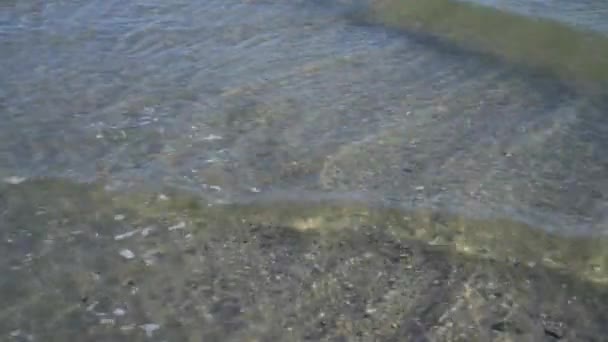 Schoon Water Aan Zee Zee Oceaan Bij Helder Weer Kleine — Stockvideo