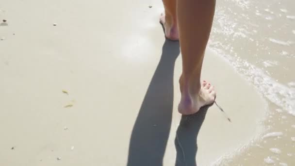 Sommerurlaub Konzept Meer Oder Meer Weibliche Füße Laufen Ufer Entlang — Stockvideo