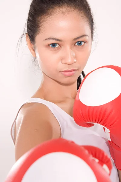 Stilig Muskulös Ung Skönhet Kvinna Asisn Bär Boxningshandskar — Stockfoto