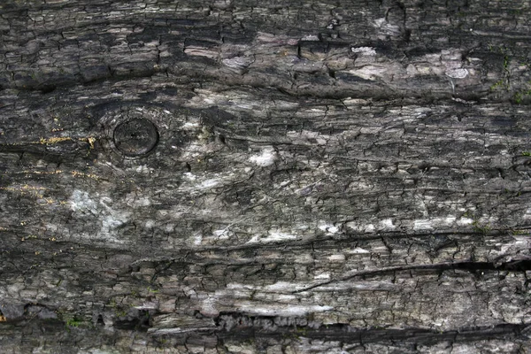 古老的木材纹理与裂纹结和自然图案 — 图库照片