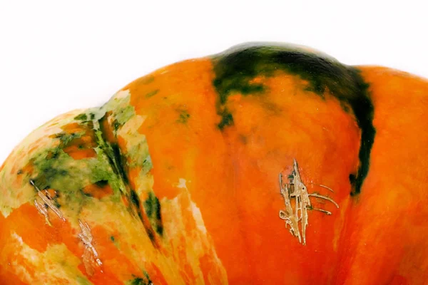 Текстура тыквы оранжевого и зеленого цвета — стоковое фото