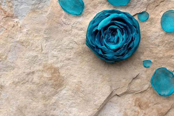 Bud azul artesanal no fundo de textura de pedra com pétalas, conceito de spa — Fotografia de Stock