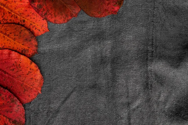 Ξηρά κόκκινα φύλλα βρίσκονται σε ένα γκρίζο φόντο υφάσματος — Φωτογραφία Αρχείου