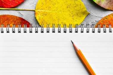 Kalem ve sonbahar yaprakları ile boş not defteri. Metin alanı. Yaratıcı düz yatıyordu