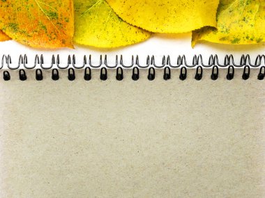 Minimalist sarı sonbahar yaprakları, bir yazıt için bir yer ile kum rengi bir bahar üzerinde not defteri makro fotoğraf boş sayfa yakın yukarı görünümü ile kopya alanı ile şablon