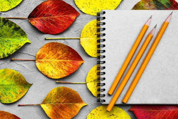 Тетрадь, карандаш и осенние листья. Вернемся к школьной концепции. Креативная квартира — стоковое фото