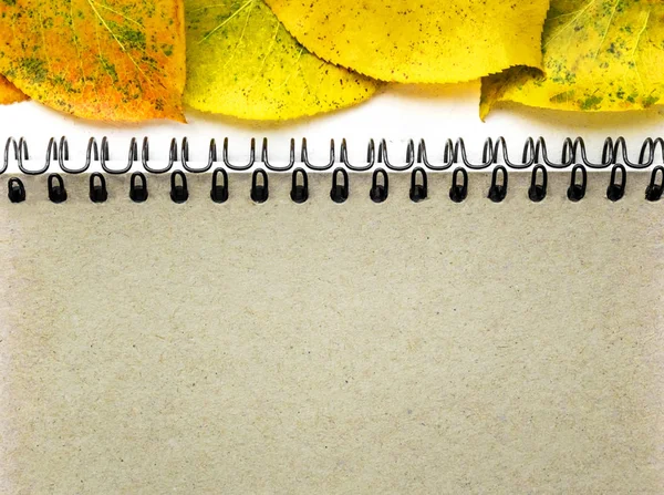 Minimalist sarı sonbahar yaprakları, bir yazıt için bir yer ile kum rengi bir bahar üzerinde not defteri makro fotoğraf boş sayfa yakın yukarı görünümü ile kopya alanı ile şablon