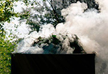 eski bir varil bahçede çim yanan güneş ışığı güzel puffs