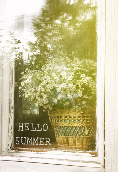 Inscription Hello Summer sur le fond d'un bouquet de marguerites dans un panier sur fenêtre rustique — Photo