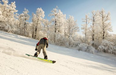 arkadan fotoğraf, bir snowboarder karla kaplı ağaçlar ve mavi gökyüzüne karşı tepeden aşağı yuvarlanıyor