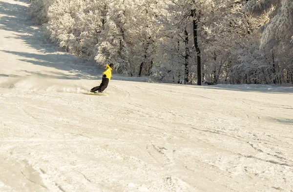 ASHA, RÚSSIA - 27 de abril de 2011: snowboarder desce na encosta coberta de neve e faz uma manobra de viragem, rosto não é visível, máscara protetora, contra o pano de fundo de belas árvores cobertas de neve — Fotografia de Stock