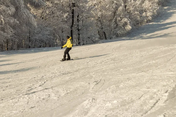 ASHA, RÚSSIA - 27 de abril de 2011: snowboarder desce na encosta coberta de neve e faz uma manobra de viragem, rosto não é visível, máscara protetora, contra o pano de fundo de belas árvores cobertas de neve — Fotografia de Stock