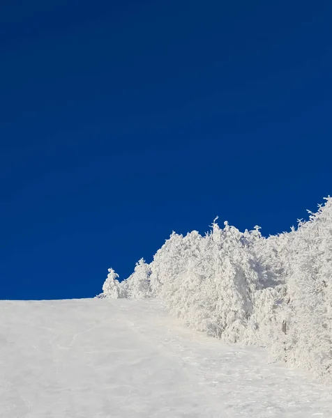 Зимний рождественский пейзаж, белый склон на фоне ярко-синего неба, морозные деревья, спорт, отдых на открытом воздухе, открытка с копировальным местом, медицинская стерильность, свежий воздух, кондиционер — стоковое фото