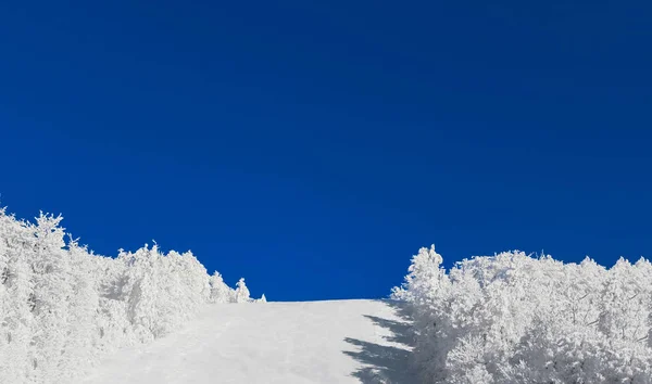 Белый зимний снежный склон с деревьями в инее на фоне ярко-синего неба, концепция медицинской стерильности, свежий воздух в городе, кондиционер, отдых, отдых на открытом воздухе — стоковое фото