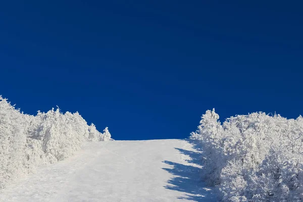 Зимний рождественский пейзаж на голубом фоне неба с копировальным пространством. пустой чистый лыжный склон с белым снегом и белыми деревьями по краям, открытый отдых, Альпы против ясного голубого неба — стоковое фото