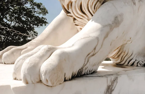 Scultura bianca primo piano di zampa di marmo di un leone su un piedistallo alla luce del sole — Foto Stock