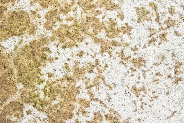Crepe di vecchio pavimento di cemento, sfondo astratto natura — Foto Stock