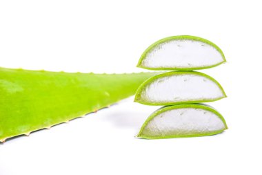 Aloe vera beyaz arkaplanda izole edildi