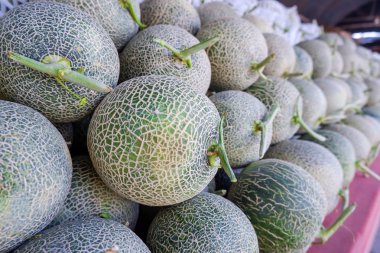 Piyasada Satılık Cantaloupe kavun