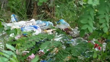 Çevre kirliliği. Plastik torbalar, şişeler, ormandaki çöpler. doğada atık