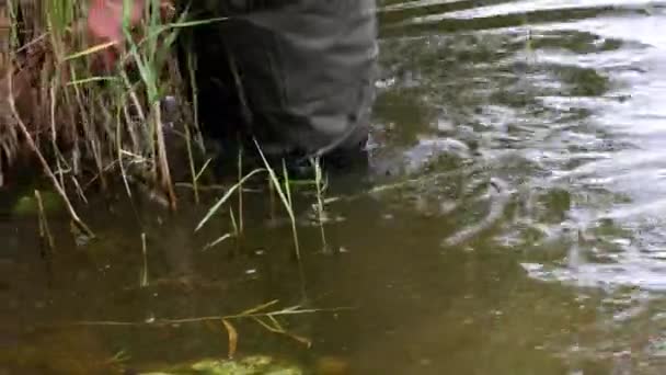 Fliegenfischer Säubert Die Flussküste — Stockvideo