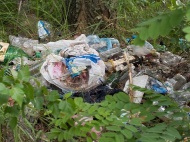 Ukrayna, Cherkassy - 10 Temmuz 2019 yıl: Ormanda çöp. Ekolojik kriz. dünya sorunu