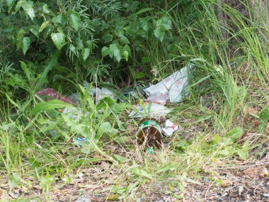 Ukrayna, Cherkassy - 10 Temmuz 2019 yıl: Ormanda çöp. Ekolojik kriz. dünya sorunu