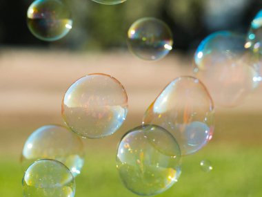 Doğada sabun köpükleri