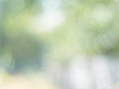 yeşil doğa bokeh ile arka plan bulanık. Defokus görüntüsü