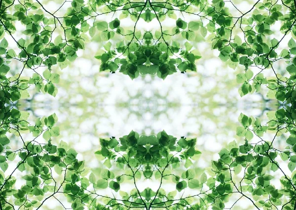 Green Texture Floral Decorative Design — Stock Photo, Image