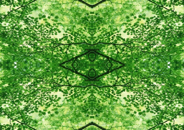 Grön Konsistens Blommig Dekorativ Design — Stockfoto