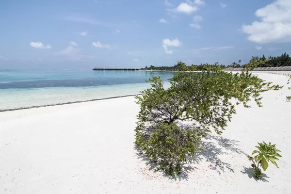 Maldivler Tatil Asya Lüks Seyahat Yerler — Stok fotoğraf