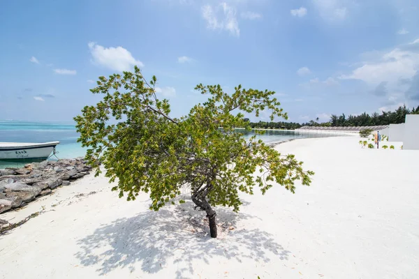 Holidays in Maldives, luxury travel destinations in Asia