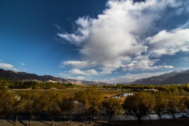 Leh Ladakh'ta Manzara 