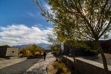 Leh Ladakh'ta Manzara 