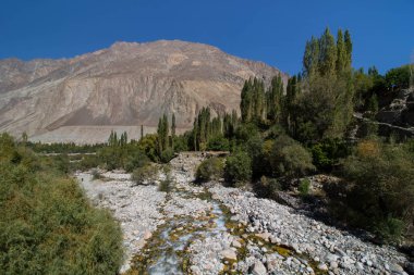 Leh Ladakh'ta Manzara 