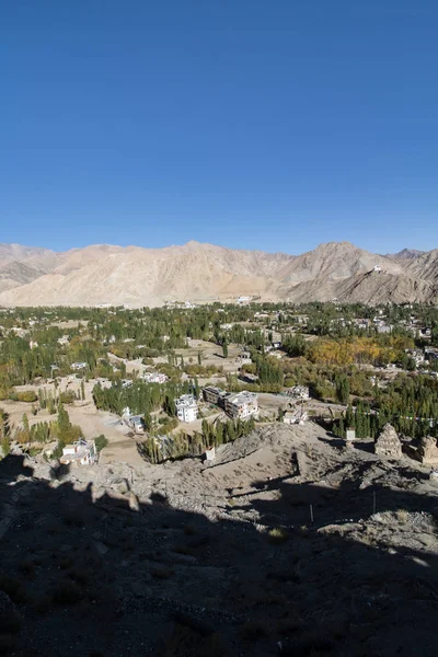 Landscape Leh Ladakh — Stock Photo, Image