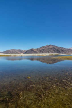 Pangong gölü Leh Ladakh 