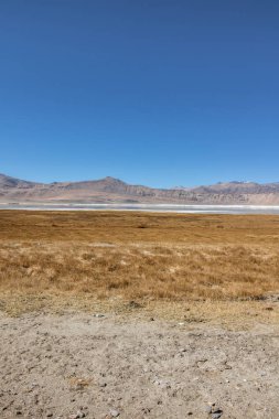 Leh Ladakh'ta Manzara 