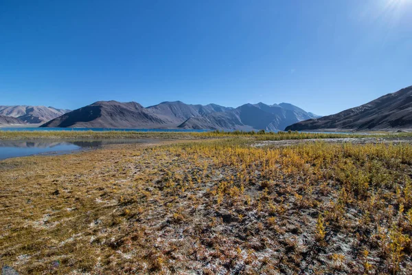 Paisaje Leh Ladakh — Foto de Stock