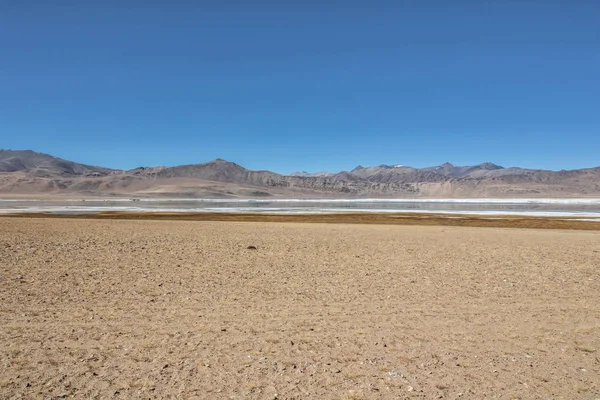 Leh Ladakh'ta Manzara 