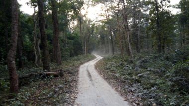 Batı Bengal Dooars bölgesindeki seyahat noktaları