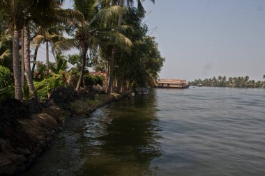 Alleppey Backwater, Kerala içinde Houseboats 
