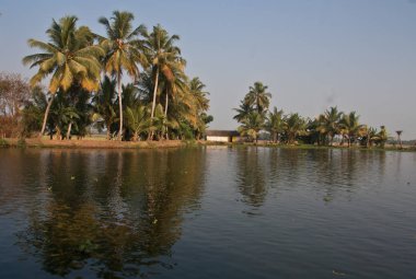 Alleppey Backwater, Kerala içinde Houseboats 