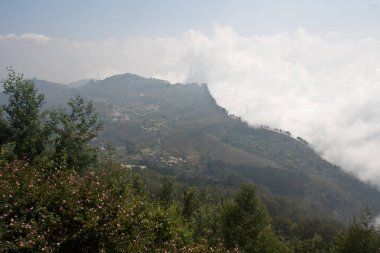 Ooty, Hindistan'da popüler seyahat destinasyonları