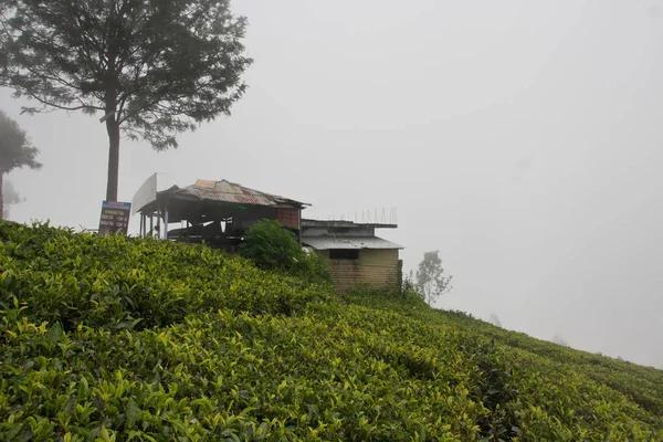 Ooty Destinos Viagem Populares Índia — Fotografia de Stock