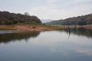Periyar gölü Thekkady, Kerala