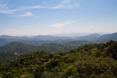 Periyar Rezerv Ormanı, Thekkady, Kerala